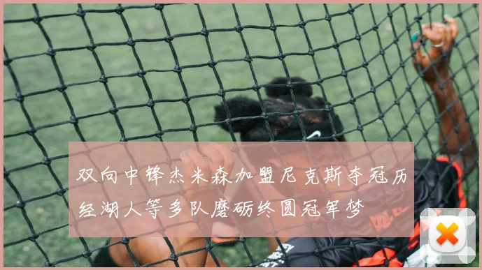 双向中锋杰米森加盟尼克斯夺冠历经湖人等多队磨砺终圆冠军梦